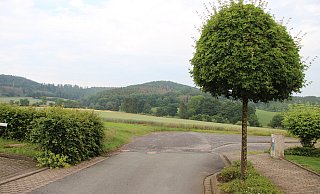 Am Ende der Wohnsiedlung "Saulsiek" ist von Baugebiet noch nichts in Sicht. Geht es nach der CDU und SPD, soll sich das schnell ändern. Im Betriebsausschuss wurde dem stattgegeben. - Kirsten Fuhrmann(LZ)