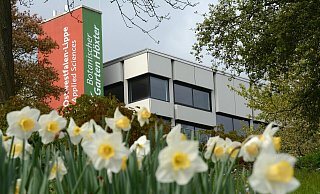Erlebt der Hochschulstandort in Höxter doch noch einen zweiten Frühling? - TH OWL Erlebt der Hochschulstandort in Höxter doch noch einen zweiten Frühling? - TH OWL
