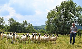 Sie sorgen gemeinsam für Naturschutz: Bernd Mühlenmeier lässt seine Schafe regelmäßig Stück für Stück die Rischwiese beweiden, die viele seltene Tier- und Pflanzenarten beherbergt. - Greta Wiedemeier Sie sorgen gemeinsam für Naturschutz: Bernd Mühlenmeier lässt seine Schafe regelmäßig Stück für Stück die Rischwiese beweiden, die viele seltene Tier- und Pflanzenarten beherbergt. - Greta Wiedemeier
