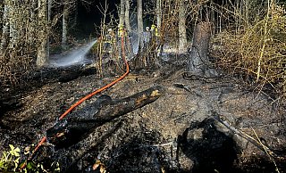 Rund 200 Quadratmeter Wald sind am vergangenen Wochenende in Tevenhausen abgebrannt. - Feuerwehr Kalletal