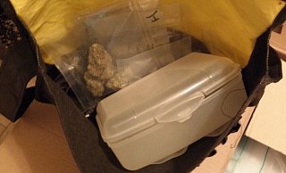 Ein Teil des sichergestelltes Marihuanas. - Polizei Bielefeld