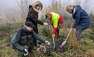 Pflanzten gemeinsam Wildobst am Kaiser-Wilhelm-Weg (v.l.): Volker Reihl als Leiter des Forstreviers Hiddesen, die Geschäftsführerin Naturpark Teutoburger Wald/Eggegebirge Dörte Pieper, Roman Elias, Forstwirt des LVL und Heike Hermann vom Naturpark Teutoburger Wald / Eggegebirge. - Landesverband Lippe