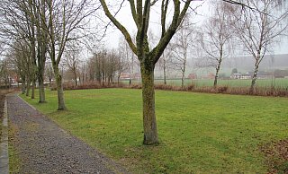 Bürger wollen eine Hundespielwiese auf dieser Fläche in Langenholzhausen einrichten. Das ist jedoch baurechtlich nicht möglich. - Nadine Uphoff Bürger wollen eine Hundespielwiese auf dieser Fläche in Langenholzhausen einrichten. Das ist jedoch baurechtlich nicht möglich. - Nadine Uphoff