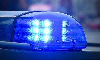 Die Polizei sucht einen Dieb. - Patrick Pleul/dpa