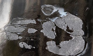 Ein Handabdruck eines abgelösten Klimaaktivisten (Symbolbild). - Paul Zinken/dpa Ein Handabdruck eines abgelösten Klimaaktivisten (Symbolbild). - Paul Zinken/dpa