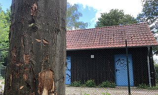 Am Abwasserpumpwerk in Lieme haben Unbekannte Bäume beschädigt – diese könnten bleibende Schäden davon tragen, fürchtet der Eigenbetrieb Straßen und Entwässerung. - Till Brand