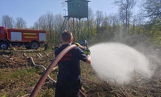 Die Feuerwehr hat am Nabberg 10.000 Douglasien gewässert und sie so vielleicht vor dem Vertrocknen gerettet. - Feuerwehr Blomberg
