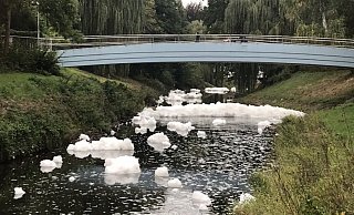 Am Montagmorgen treibt massenweise Schaum auf der Werre in Herford. - Frank-Michael Kiel-Steinkamp Am Montagmorgen treibt massenweise Schaum auf der Werre in Herford. - Frank-Michael Kiel-Steinkamp