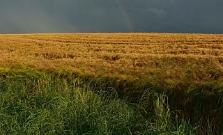 Lemgo rüstet sich gegen Starkregen - Symbolbild Pixabay Lemgo rüstet sich gegen Starkregen - Symbolbild Pixabay