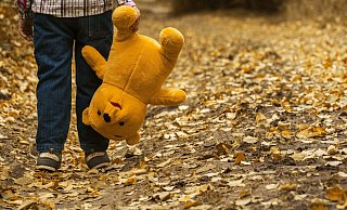 Herbst in der Seele: Sexueller Missbrauch hinterlässt Spuren bei den Opfern. Um den Sohn von Linda T. nicht auch noch Problemen im sozialen Umfeld auszusetzen, zeigen wir an dieser Stelle ein Symbolfoto. - Symbolfoto: pixabay