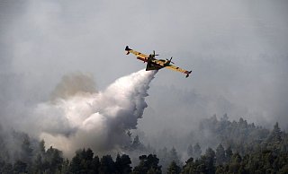 Ein L&ouml;schflugzeug l&auml;sst Wasser &uuml;ber einem Wald auf der griechischen Insel Eub&ouml;a ab. - Foto: Yorgos Karahalis/AP