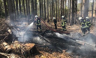 Einsatzkräfte der Barntruper Feuerwehr löschen brennenden Waldboden im „Krähenholz". - Feuerwehr Barntrup Einsatzkräfte der Barntruper Feuerwehr löschen brennenden Waldboden im „Krähenholz". - Feuerwehr Barntrup
