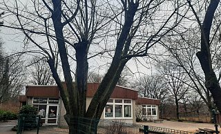 Kita Gartenstraße wird umgebaut. - Michaela Weiße Kita Gartenstraße wird umgebaut. - Michaela Weiße