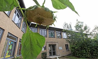 Das Blomberger Hermann-Vöchting-Gymnasium ist erneut Ziel von Einbrechern geworden.  - Archivfoto: Vera Gerstendorf-Welle