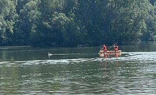 Die Feuerwehr befreit auf dem Meschesee einen Schwan, der sich in einer Angelschnur verfangen hat. - Feuerwehr Detmold Die Feuerwehr befreit auf dem Meschesee einen Schwan, der sich in einer Angelschnur verfangen hat. - Feuerwehr Detmold