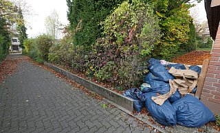 Wenn der Müll, wie hier, auf einem Privatgrundstück abgeladen wurde, ist dessen Eigentümer für die Entsorgung zuständig. - Jost Wolf