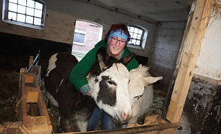 Die beiden Hausesel "Nono" und "Rafael" freuen sich über die Streicheleinheiten von Anja Queren-Büker. - Michaela Weiße(LZ) Die beiden Hausesel "Nono" und "Rafael" freuen sich über die Streicheleinheiten von Anja Queren-Büker. - Michaela Weiße(LZ)