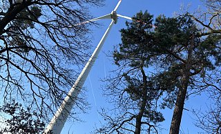 Auf einmal doch genehmigt: Der Bau von Windkraftanlagen im Wald auf der Gauseköte. - Symbolfoto: Jens Reddeker