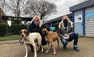 Die Tierpflegerinnen Melanie Vogt (links) und Freddy van der Hoeven mit den Hunden „Shaun“ (links) und „Jumper“ auf dem Hof des Tierheims an der Ziegelstraße. Die Anschaffung eines Tieres sollte nicht übers Knie gebrochen werden, raten sie. - Sven Kienscherf Die Tierpflegerinnen Melanie Vogt (links) und Freddy van der Hoeven mit den Hunden „Shaun“ (links) und „Jumper“ auf dem Hof des Tierheims an der Ziegelstraße. Die Anschaffung eines Tieres sollte nicht übers Knie gebrochen werden, raten sie. - Sven Kienscherf