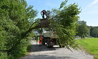 Sommerastbruch: Ein großer Ast hängt quer über dem Weg. Die Mitarbeiter des Bauhofs rücken aus, um diesen zu beseitigen. - Tanja Watermann Sommerastbruch: Ein großer Ast hängt quer über dem Weg. Die Mitarbeiter des Bauhofs rücken aus, um diesen zu beseitigen. - Tanja Watermann