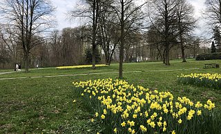 Viel Platz fürs Discgolfen bietet der Park in Schieder. Die Scheibe durch Bäume zu werfen, hat einen besonderen Reiz. - Silke Buhrmester
