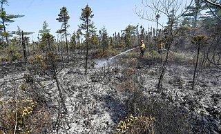Löscharbeiten in einem Waldgebiet in Nova Scotia. - ---/Communications Nova Scotia via The Canadian Press/AP/dpa Löscharbeiten in einem Waldgebiet in Nova Scotia. - ---/Communications Nova Scotia via The Canadian Press/AP/dpa