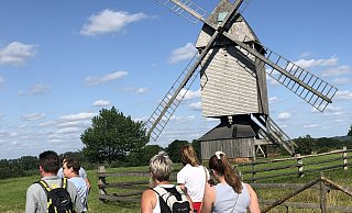 Das Freilichtmuseum mit der Kappenwindmühle und anderen Attraktionen ist ein Anziehungspunkt in Detmold und der gesamten Region. - Archivfoto: Silke Buhrmester