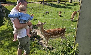 Das Wildgehege von Haus Berkenkamp liegt am Familienwanderweg in Hörste. Dieser Weg soll nun in zieglerweg umbenannt werden. - Astrid Sewing