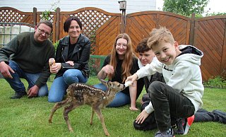 Das Rehkitz Sissi ist etwa zwei Wochen alt, seine Mama hat es verloren, doch es hat guten Ersatz gefunden. Von Ingo Rhiemeier (von links) sowie Nicole, Emma Jo, Marlon und Sam Stock, einer befreundeten Familie, wird es liebevoll aufgepäppelt -mit Lammmilch aus dem Fläschchen. - Katrin Kantelberg