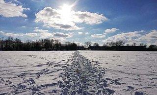 Ein Schneepanorama in Leopoldsöhe-Hovedissen. - Kirsten Fuhrmann