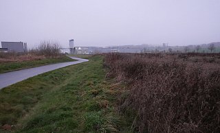 Die Erweiterungsfläche des Industrieparks Lippe mit den Firmen Profectus Films (ganz links) und Velosit im Hintergrund, die dort auf dem bisherigen Gelände ansässig sind. - Jost Wolf