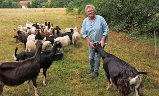 Stefanie Rzepka mit Teile ihrer "Mitarbeiter". Die Thüringer Waldziegen sind sehr neugierig, die kleine Skudden eher zurückhalten. "Die Tiere nicht füttern", bittet die Schäferin Wanderer. - Tanja Andersen Stefanie Rzepka mit Teile ihrer "Mitarbeiter". Die Thüringer Waldziegen sind sehr neugierig, die kleine Skudden eher zurückhalten. "Die Tiere nicht füttern", bittet die Schäferin Wanderer. - Tanja Andersen