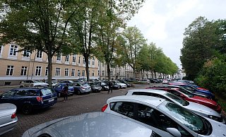 Werden bald unter die Lupe genommen: die Bäume am Kaiser-Wilhelm-Parkplatz. - Sven Koch