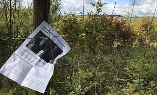 Am Eichenberg sind bereits mehrere Zettel gefunden worden. Die meisten Zettel enthalten asyl- oder regierungskritische Botschaften. Auf dem abgebildeten ist die fehlgeschlagene Wirtschaftspolitik der Merkel-Politik Thema. - Seda Hagemann Am Eichenberg sind bereits mehrere Zettel gefunden worden. Die meisten Zettel enthalten asyl- oder regierungskritische Botschaften. Auf dem abgebildeten ist die fehlgeschlagene Wirtschaftspolitik der Merkel-Politik Thema. - Seda Hagemann