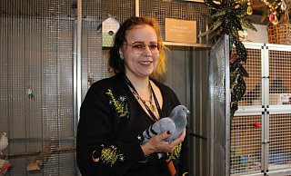 Jessica Strohbach hat Taube Fiona auf dem Arm. Mit einem gebrochenen Flügel und einem verletzen Auge kam der Vogel bei ihr unter. - Raffael Giebel