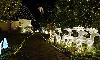Ab Montag geöffnet: das Alverdisser Weihnachtshaus von Klaus und Inge Düwel sammelt in diesem Jahr Spenden für die "Aktion Lichtblicke" und das Brustzentrum in Lemgo. - Sylvia Frevert