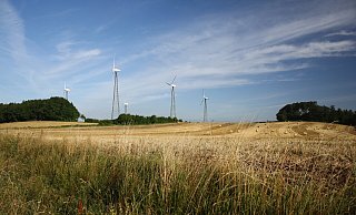 Einige der alten Windräder am Köterberg. Diese werden gegen modernere ausgetauscht, Stichwort Repowering. - WindStrom Niese-Köterberg Einige der alten Windräder am Köterberg. Diese werden gegen modernere ausgetauscht, Stichwort Repowering. - WindStrom Niese-Köterberg