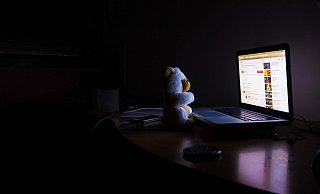 Schutzlos ausgeliefert? Das Internet hält einige Tücken parat. Wer sich an ein paar Regeln hält, kann den gängigen Betrugsmaschen aber aus dem Weg gehen - Pixabay