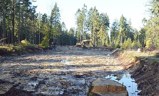 Seerosenteich: Immer wieder lief das Stehgewässer im Fauna-Flora-Habitat-Gebiet im Schwalenberger Wald leer. Eine umfangreiche Sanierung soll den besonderen Lebensraum sichern. - Tanja Watermann Seerosenteich: Immer wieder lief das Stehgewässer im Fauna-Flora-Habitat-Gebiet im Schwalenberger Wald leer. Eine umfangreiche Sanierung soll den besonderen Lebensraum sichern. - Tanja Watermann