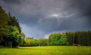 Besonders in Wäldern kann es bei Gewittern gefährlich werden. Schutz suchen ist angesagt, aber bloß nicht unter Bäumen. - Symbolbild: Pixabay