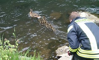 Endlich wieder im sicheren Wasser! - Feuerwehr Bad Salzuflen Endlich wieder im sicheren Wasser! - Feuerwehr Bad Salzuflen