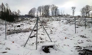 Der Zaun schützt die Aufforstungsfläche vor Wildverbiss. - Marketing Extertal e.V. Der Zaun schützt die Aufforstungsfläche vor Wildverbiss. - Marketing Extertal e.V.