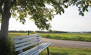  Erweiterung Industriefläche in Lieme West - Katrin Kantelberg