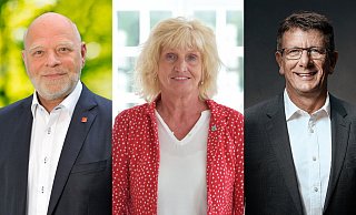 Die Chefs der drei größten Ratsfraktionen: Rainer Friedrich (SPD), Dr. Birgit Meyer-Ehlert (Grüne) und Jörg Thelaner (CDU, von links). - Montage: Oliver Wendtland/Fotos: SPD, CDU, Heinz Wernecke