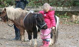Judith Manicke schließt bereits Freundschaft mit einem Pony. Die Kurse starten Ende Februar. - Ponyfreunde Lippe/Sylvia Frevert Judith Manicke schließt bereits Freundschaft mit einem Pony. Die Kurse starten Ende Februar. - Ponyfreunde Lippe/Sylvia Frevert