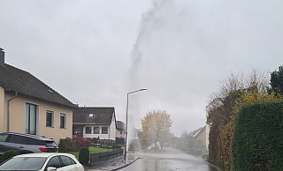 Eine Wasserfont&auml;ne stieg am Samstagnachmittag in Barntrup hoch. - Feuerwehr Barntrup