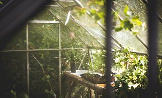  - Symbolbild Pixabay