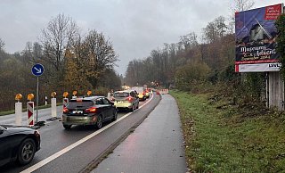 Die Paderborner Straße ist auf Höhe des Freilichtmuseums nur einseitig befahrbar. Eine Baustellenampel regelt den Verkehr. - Jana Beckmann Die Paderborner Straße ist auf Höhe des Freilichtmuseums nur einseitig befahrbar. Eine Baustellenampel regelt den Verkehr. - Jana Beckmann