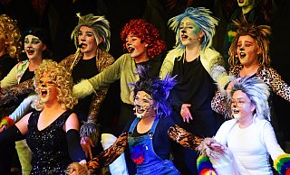 Für das Musical "Cats" haben sich Schüler des Grabbe-Gymnasiums in Katzen verwandelt. - Nicole Ellerbrake Für das Musical "Cats" haben sich Schüler des Grabbe-Gymnasiums in Katzen verwandelt. - Nicole Ellerbrake