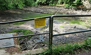 Keine Sorge. Um die Fische wird sich bereits gut gekümmert – Mit diesem Hinweisschild möchte Ann-Kristin Beinhorn von der Wasserschildkrötenarche Bielefeld besorgte Bürgerinnen und Bürger beruhigen. - Martin Düsterberg Keine Sorge. Um die Fische wird sich bereits gut gekümmert – Mit diesem Hinweisschild möchte Ann-Kristin Beinhorn von der Wasserschildkrötenarche Bielefeld besorgte Bürgerinnen und Bürger beruhigen. - Martin Düsterberg